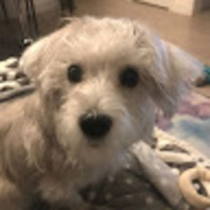 Meet your Posher, Helen